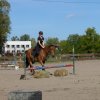 Babie Lato z Hucułami 2015